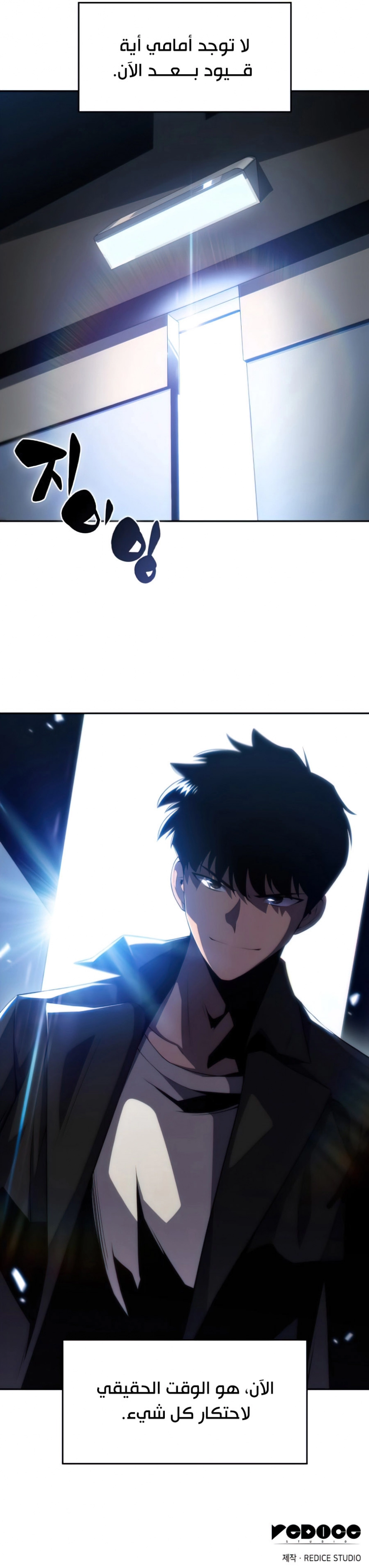 صفحة 6 — Solo Max-Level Newbie الفصل 25