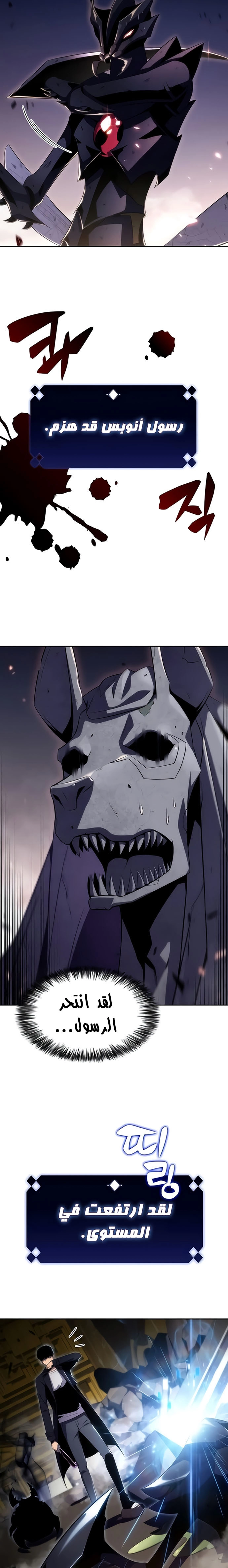 صفحة 14 — Solo Max-Level Newbie الفصل 29