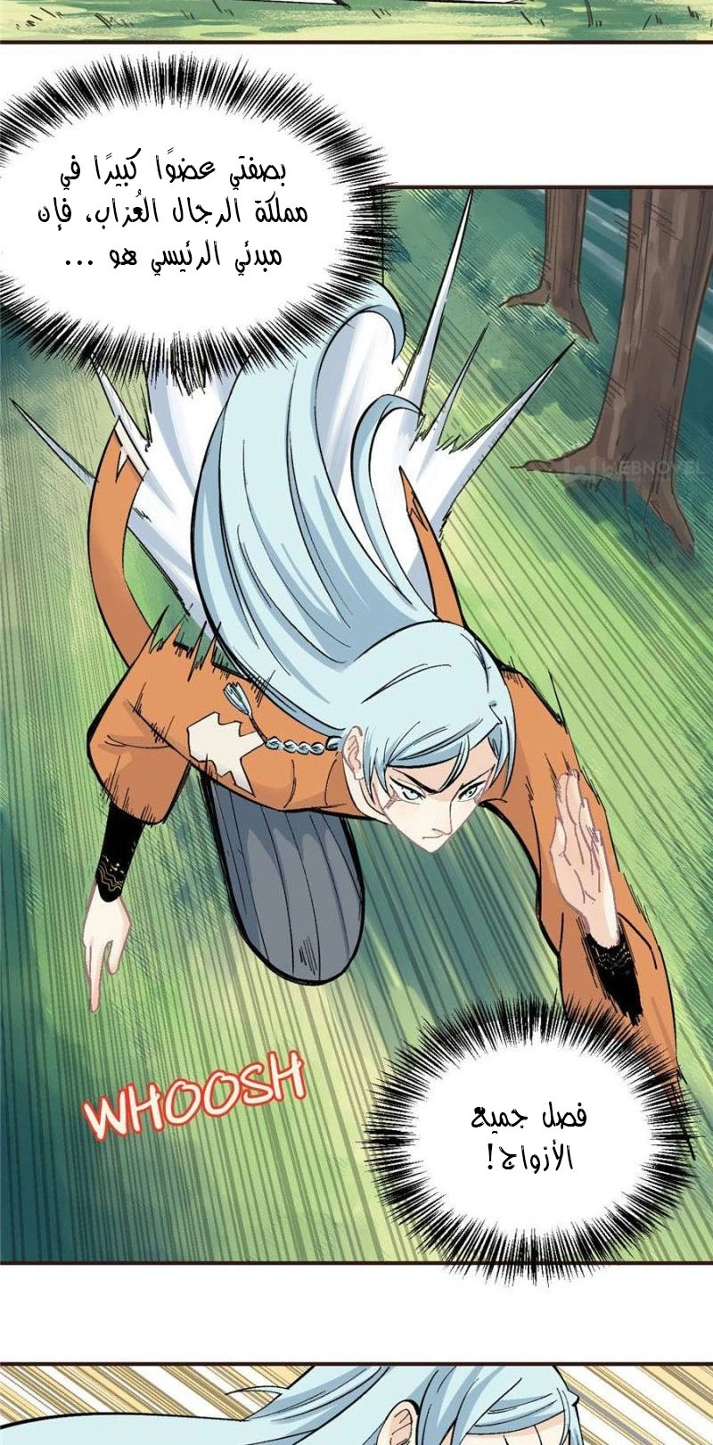 صفحة 6 — All Hail The Sect Leader الفصل 29