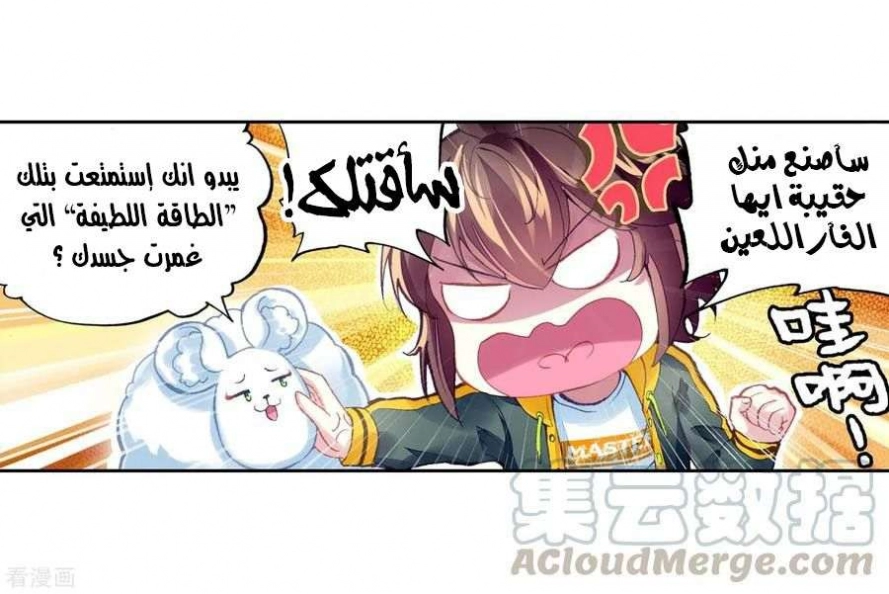 صفحة 43 — Wu Dong Qian Kun الفصل 95